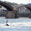 アオサギと錦帯橋