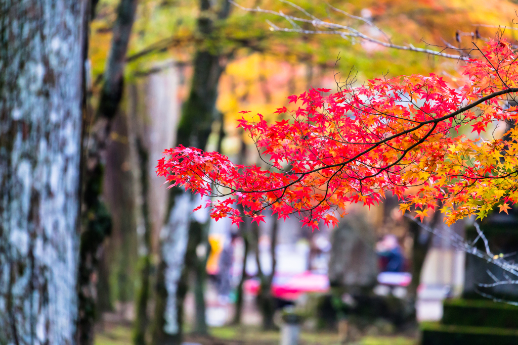 佛通寺-5