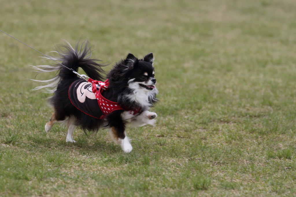 颯爽と。。。