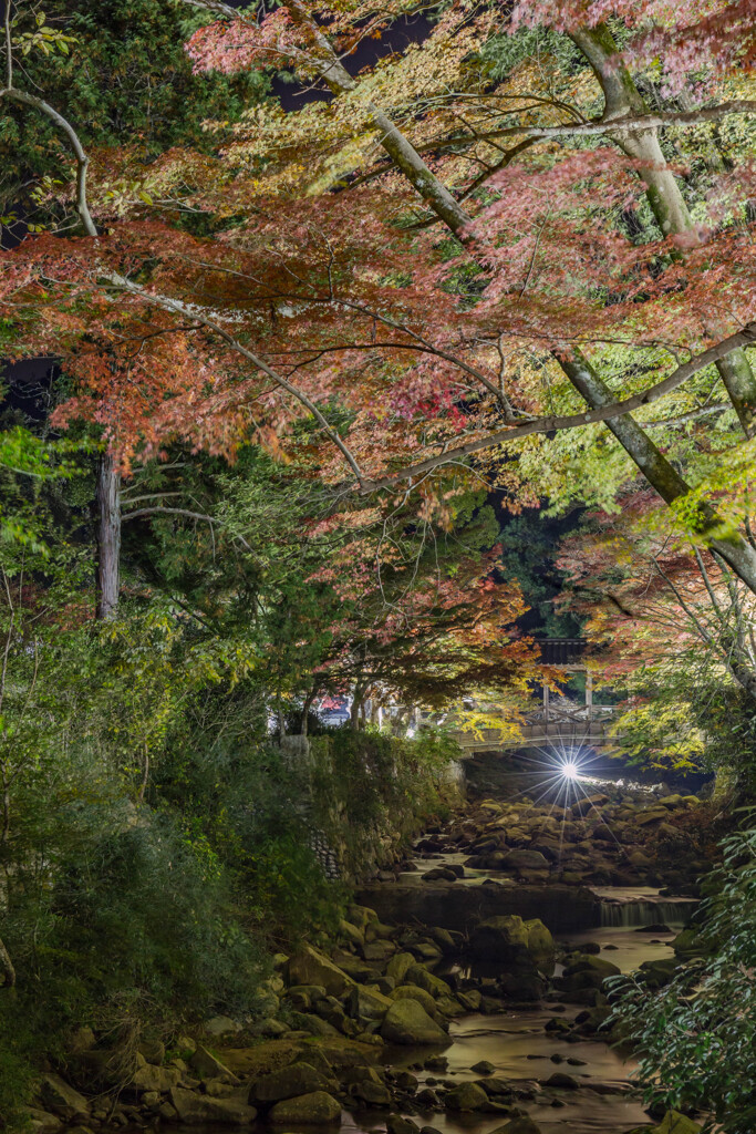 佛通寺-8