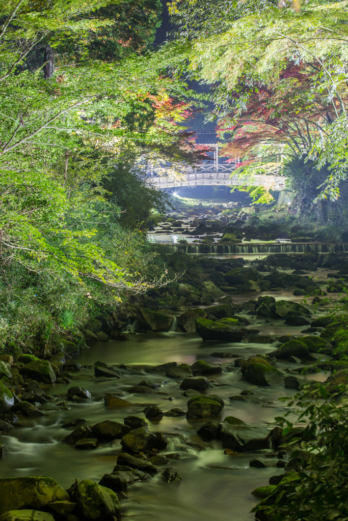 佛通寺-4
