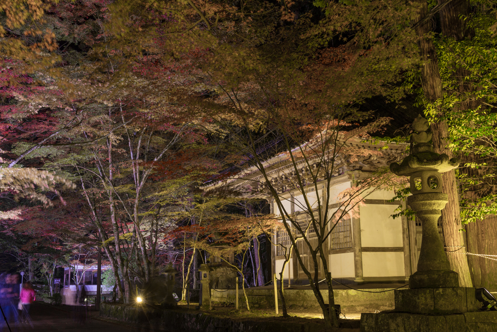 佛通寺ライトアップ-1