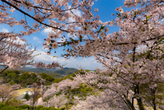 千光寺公園-2