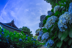 吉備津神社。。。④