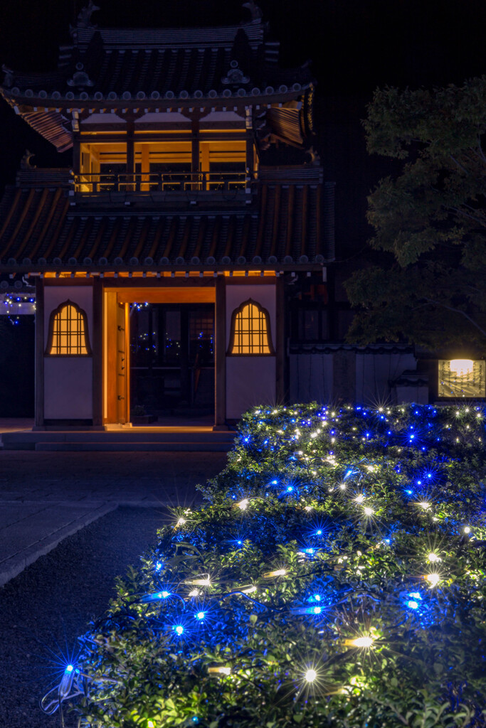 妙皇寺～summer illumination～③
