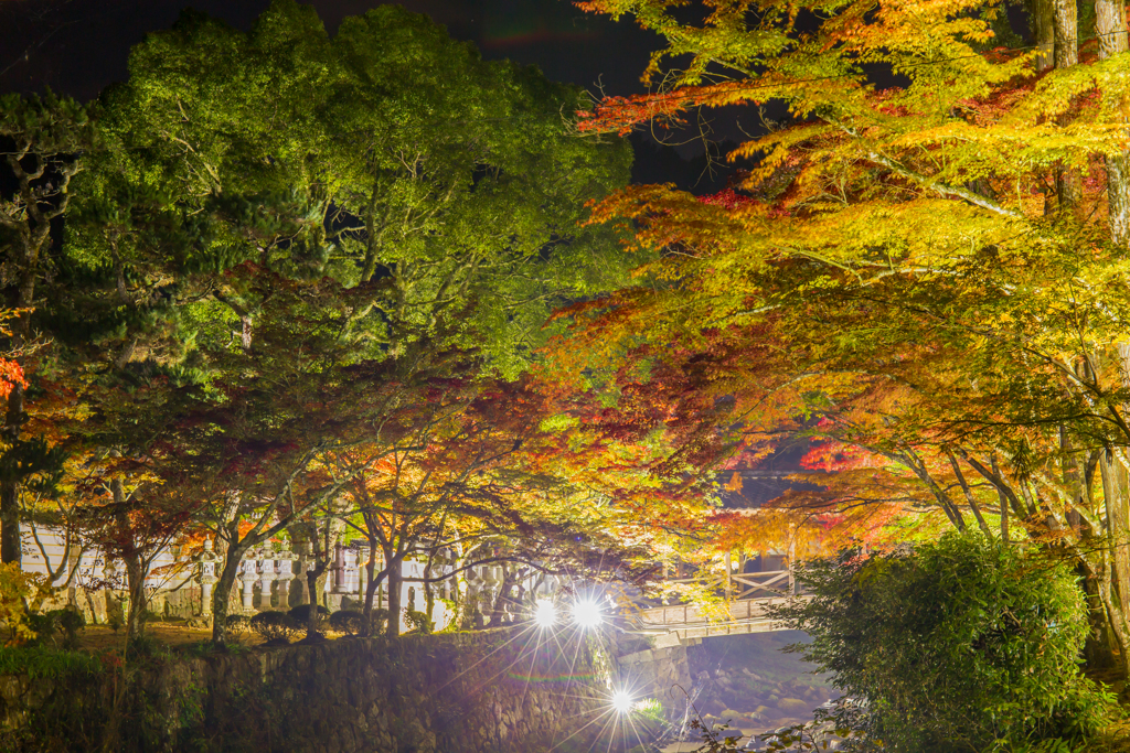 佛通寺-2