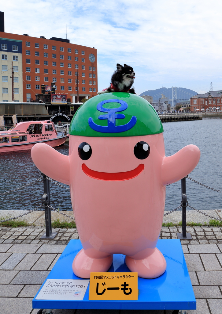 じーもとレトロとチワワ。。。