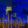 福山灯りまつり-3
