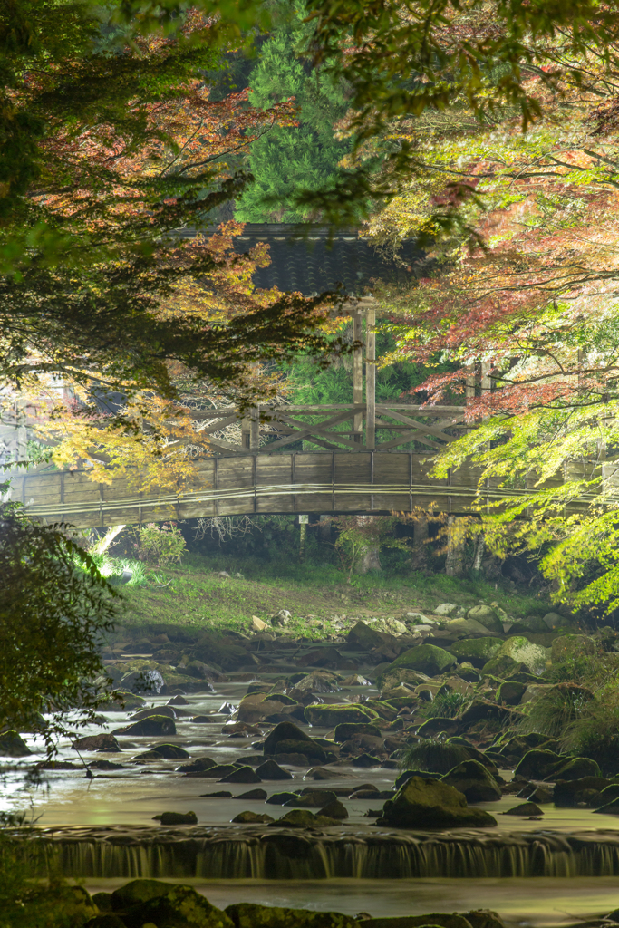 佛通寺ライトアップ-3
