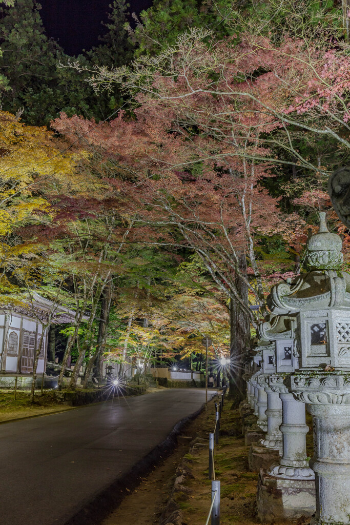 佛通寺-6