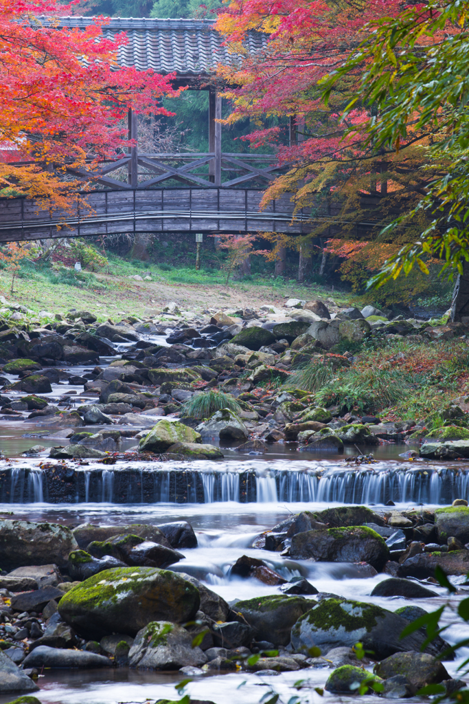 佛通寺-6