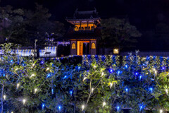 妙皇寺～summer illumination～②