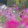 備北丘陵公園-2