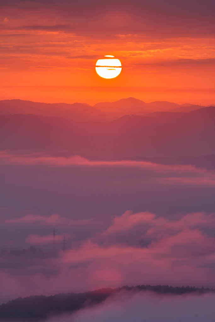 高谷山の雲海-2