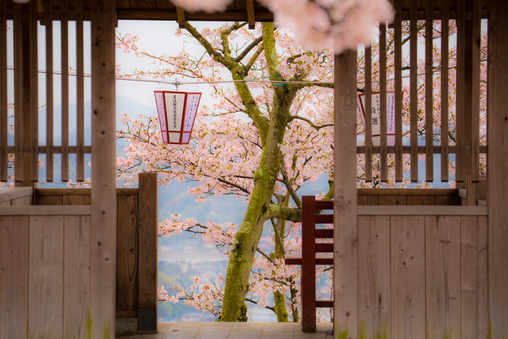 千光寺-5