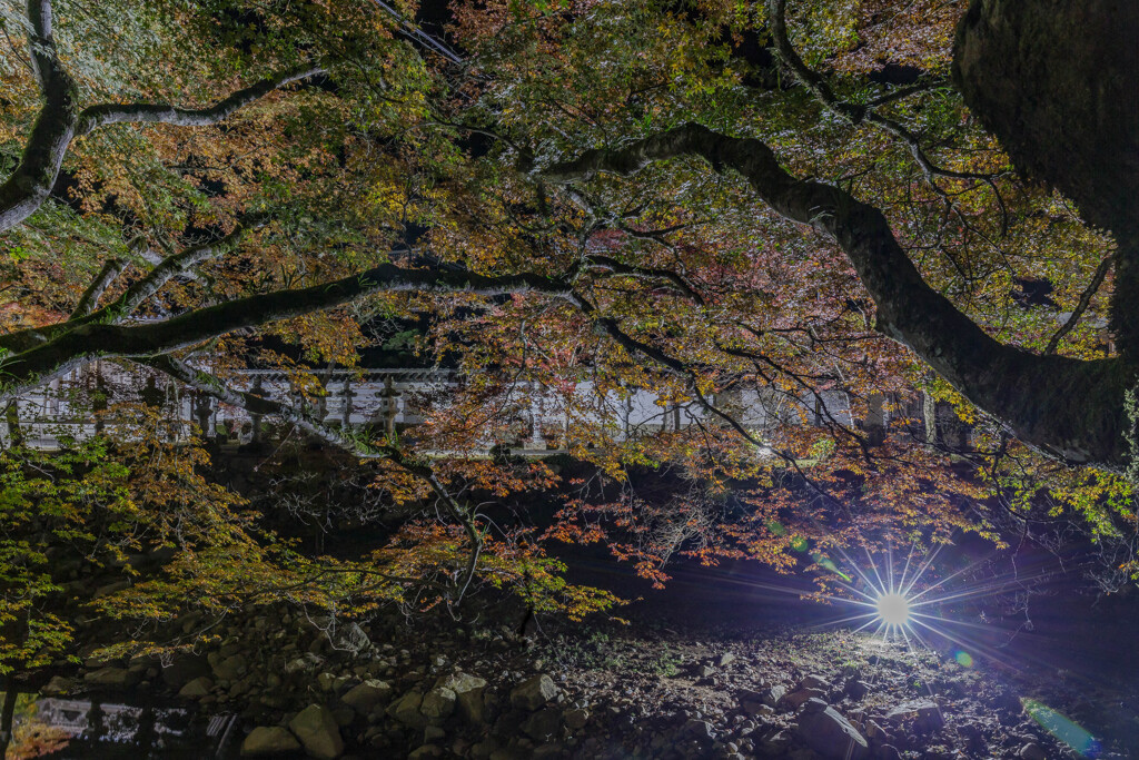 佛通寺-3
