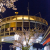 千光寺-14