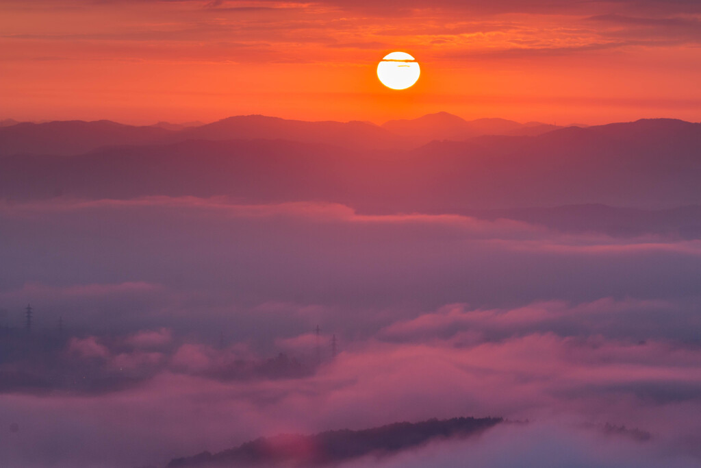 高谷山の雲海-1