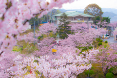千光寺-2