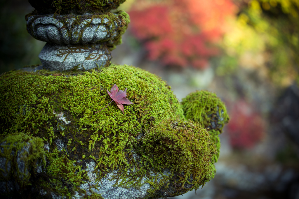 御調八幡宮。。。④