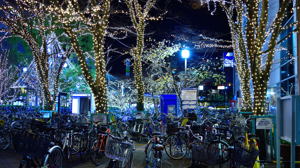 DSC_0044_m_01