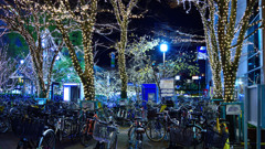 DSC_0044_m_01