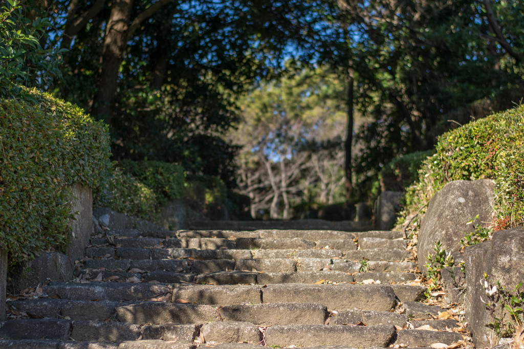 20141226_03