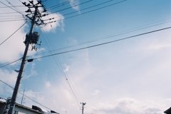 見上げると電線も。