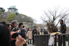 大阪城 天守閣04