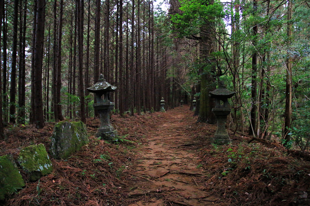向山神社 03