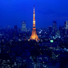 東京タワー06