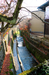 飛騨高山のきれいな川