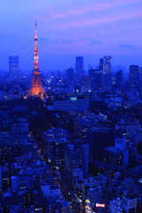東京タワー05