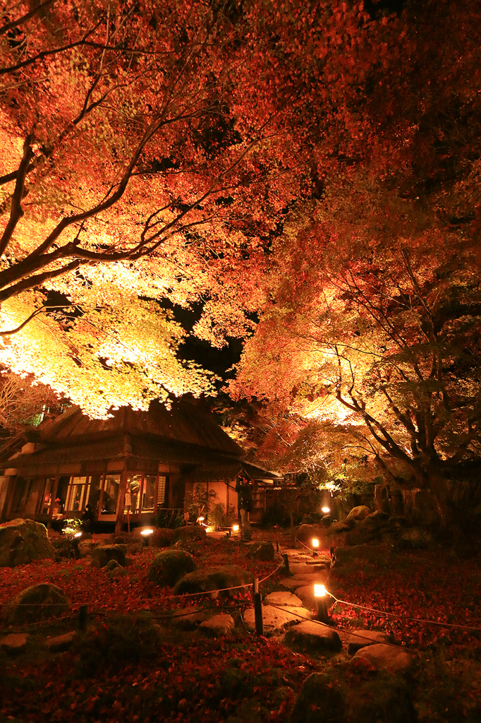 石の寺 教林坊_01