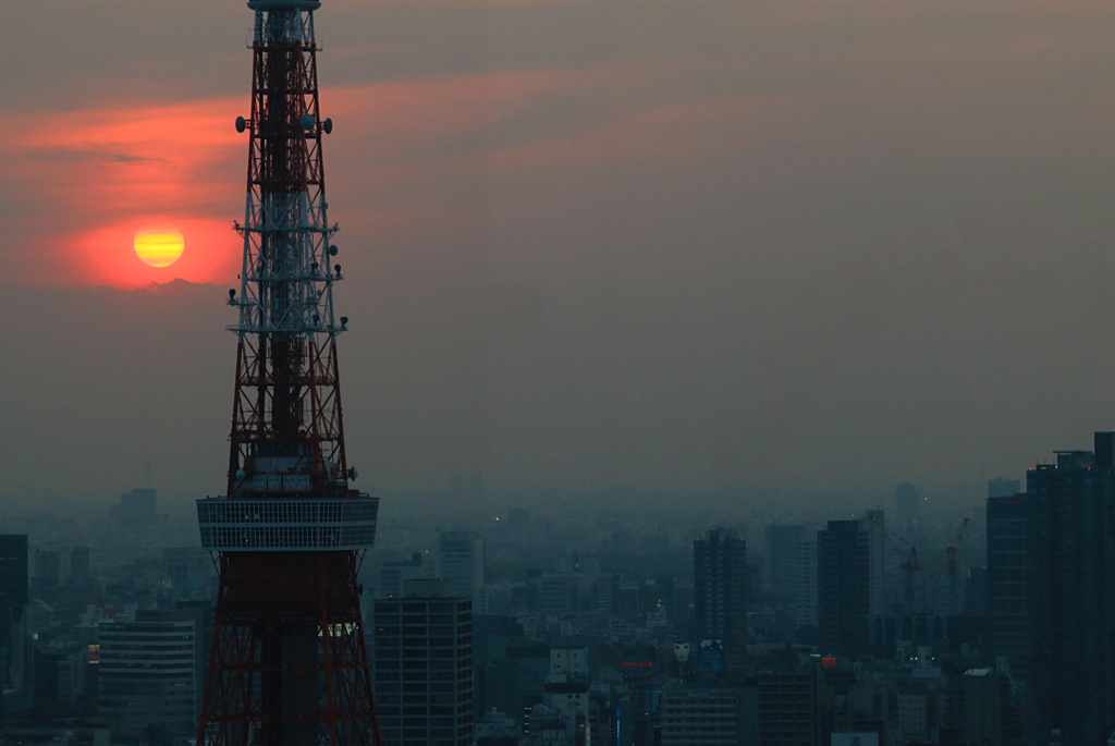 東京タワー03