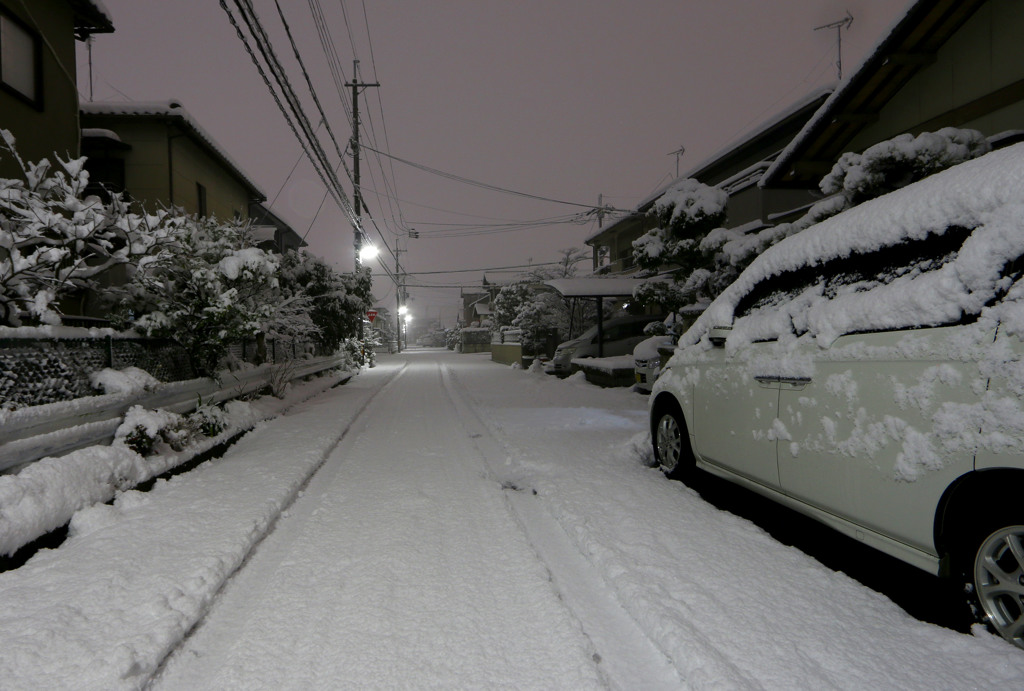 正月の大雪 01