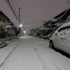 正月の大雪 01