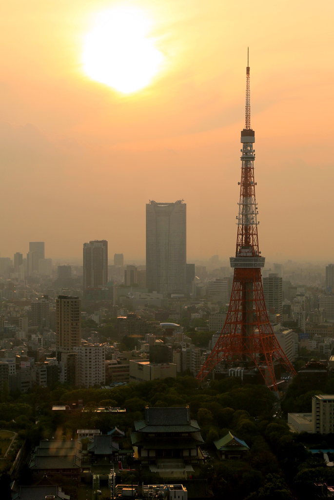 東京タワー01