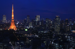 東京タワー07