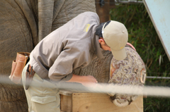 上野動物園 09