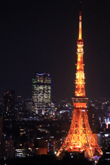 東京タワー08