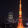 東京タワー08