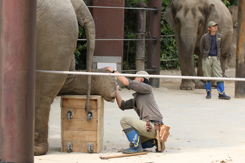 上野動物園 10