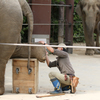 上野動物園 10