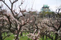 大阪城 天守閣05