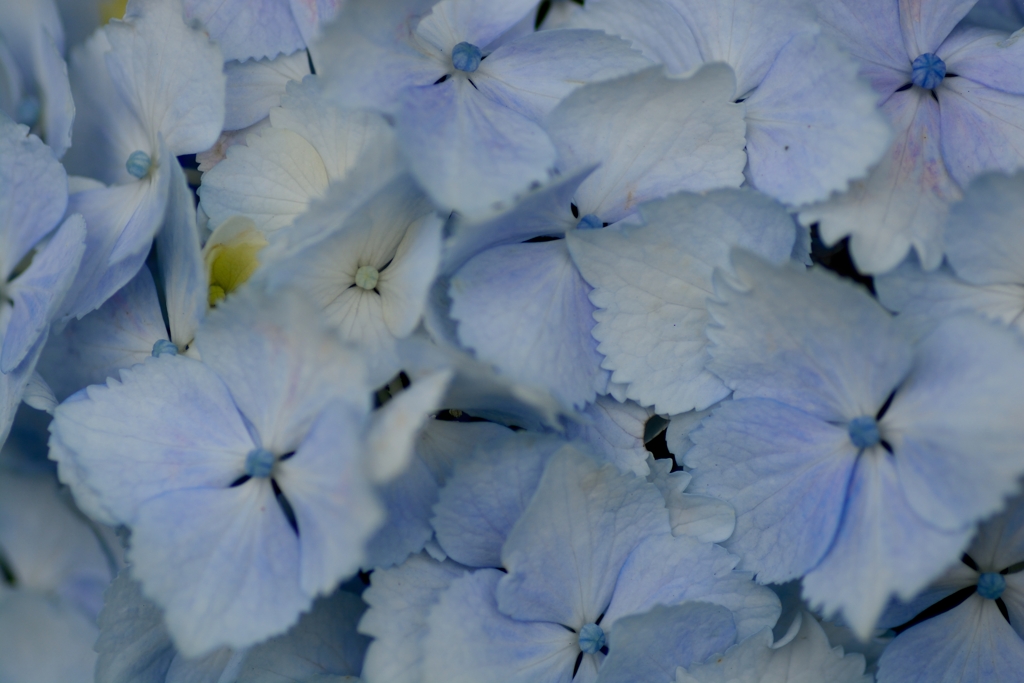 20150606154240_0027_NIKON D7100