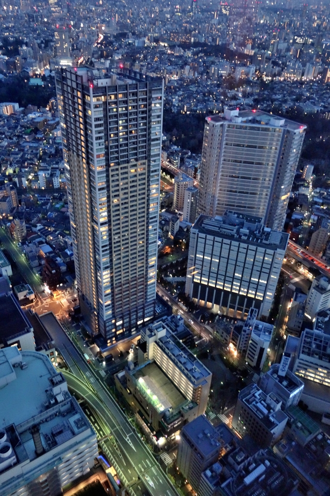 20150221174751_0003_DSC-RX100