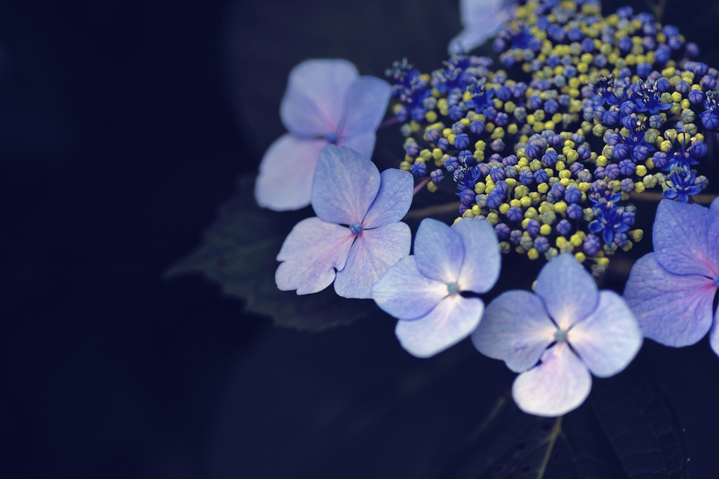 20150606160701_0040_NIKON D7100