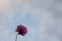 20211103_162954__70mm_ISO160_F4.0_Tv125.