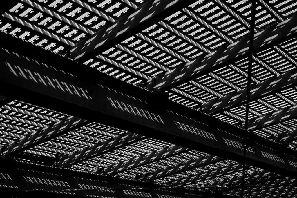 20211120_131007_0001_50mm_ISO125_F5.6_Tv
